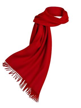 Cashmink Scarf